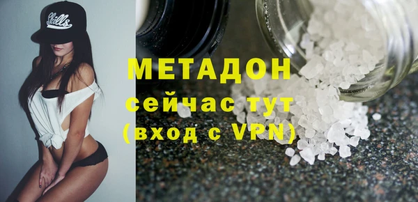 трава Ельня
